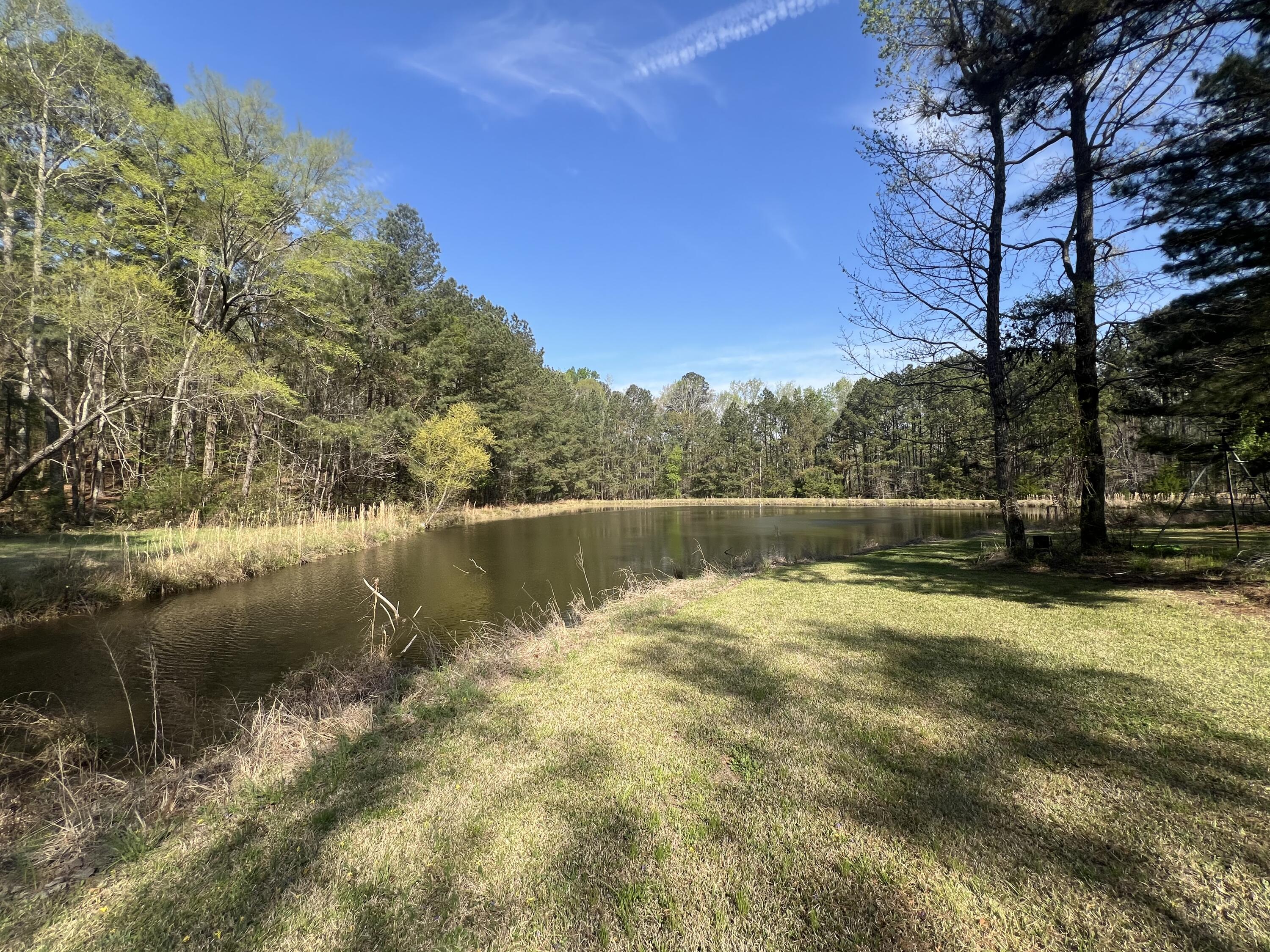 3329 Lincolnton Road Northeast Thomson, GA 30824 - Photo 50 of 51 IMG_9825