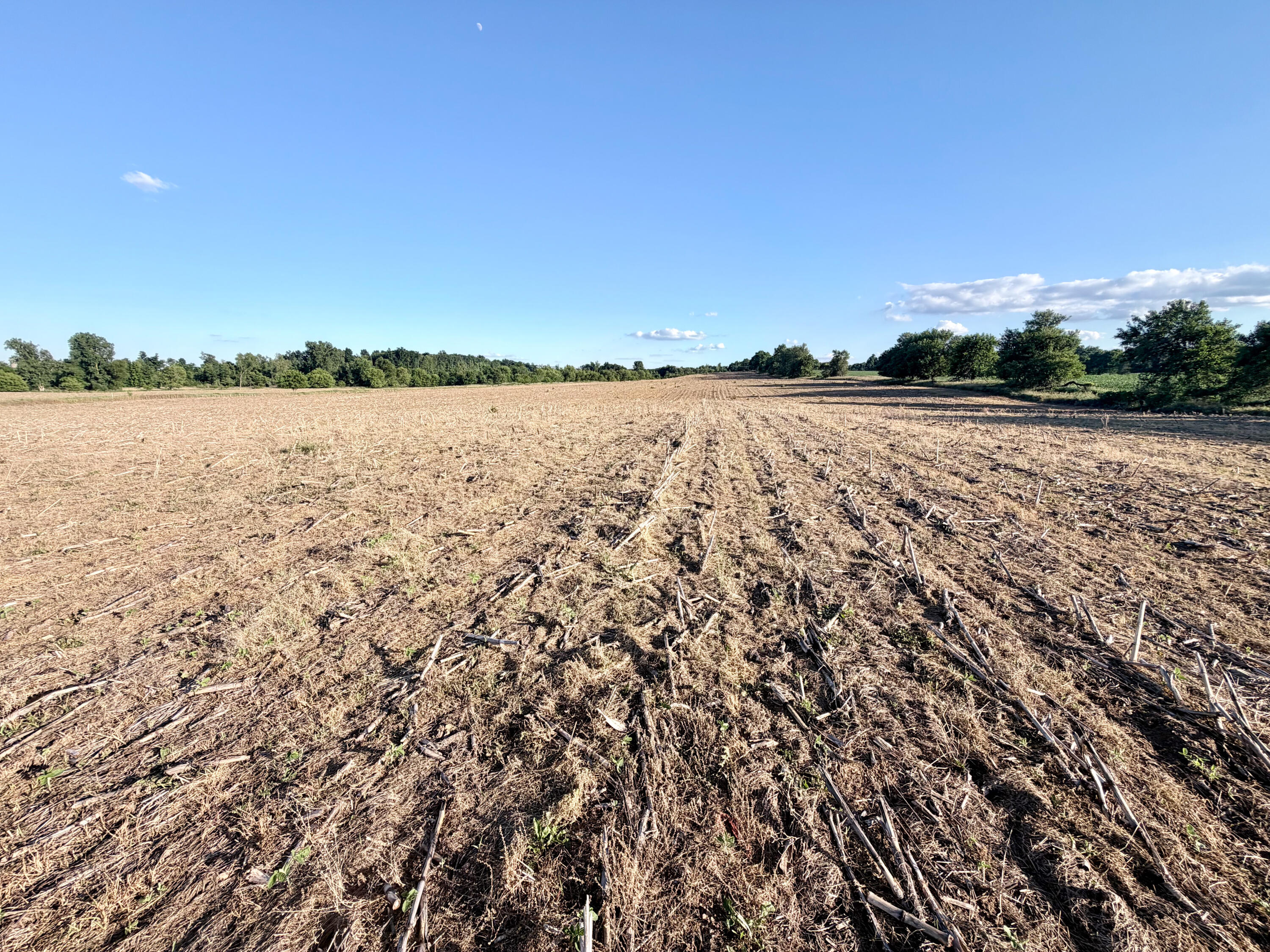 8375 South Stoney Lake Road Jackson, MI 49201 - Photo 82 of 101 Jackson 111.84-084
