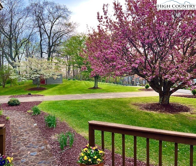 320 Buckeye Ridge Run Sparta, NC 28675 - Photo 6 of 48 a view of a garden with trees