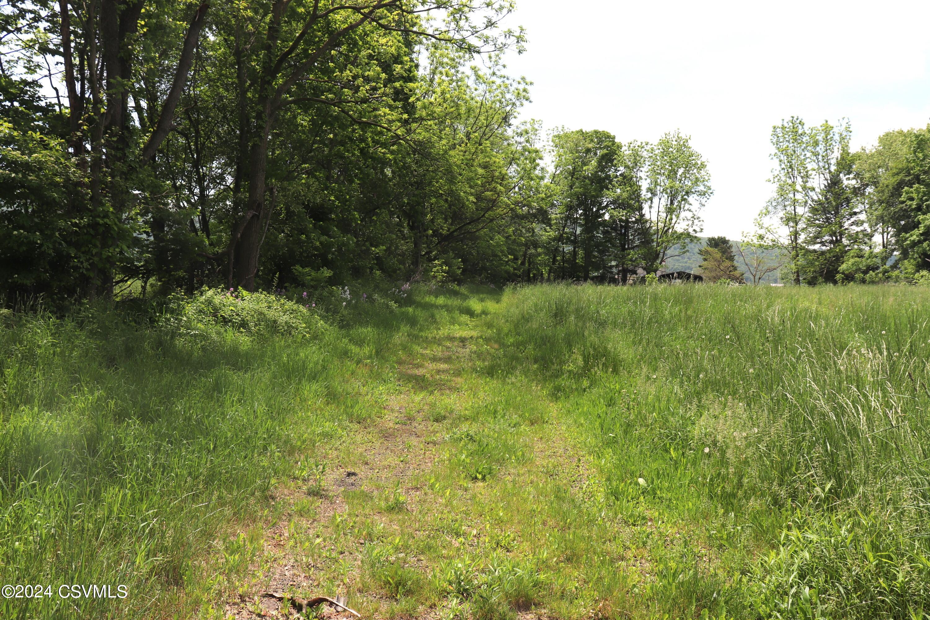 85 Hobbie Road Nescopeck, PA 18635 - Photo 14 of 15 Gallery Image 14