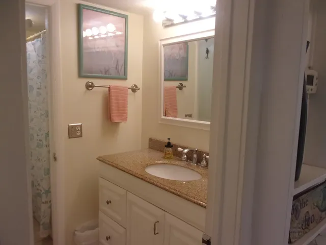 a white toilet sitting next to a shower curtain