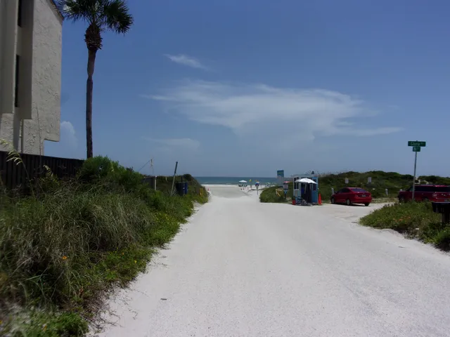 a view of a dry yard with wooden floor and fence