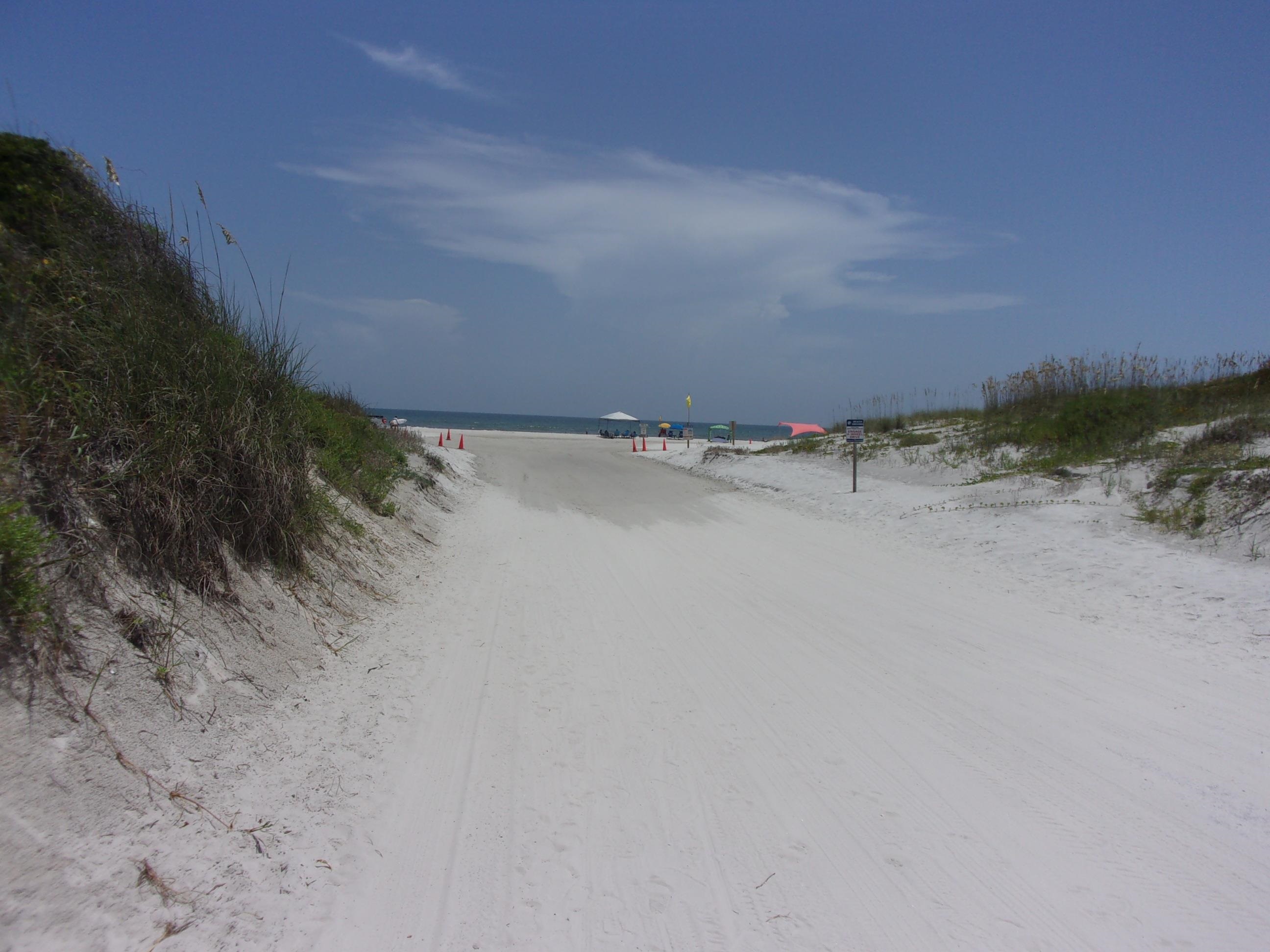 5650 A1A South, Unit B107 St. Augustine, FL 32080 - Photo 50 of 50 a view of a dry yard with wooden floor and fence