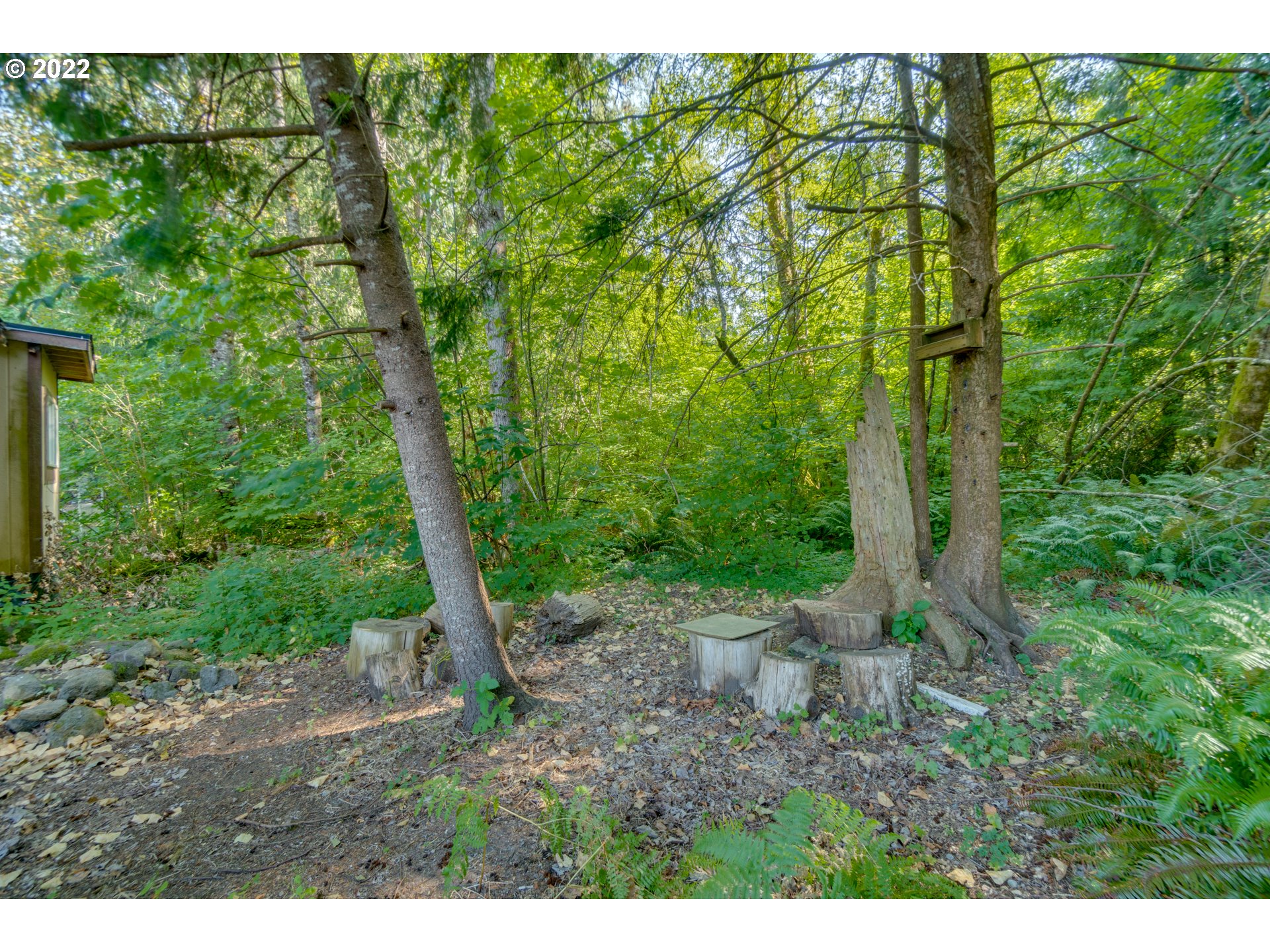 25222 East Welches Road Welches, OR 97067 - Photo 30 of 31 a view of a forest with trees