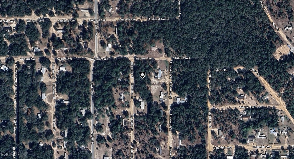 7185 Radcliffe Street Keystone Heights, FL 32656 - Photo 2 of 3 a view of house with a tree