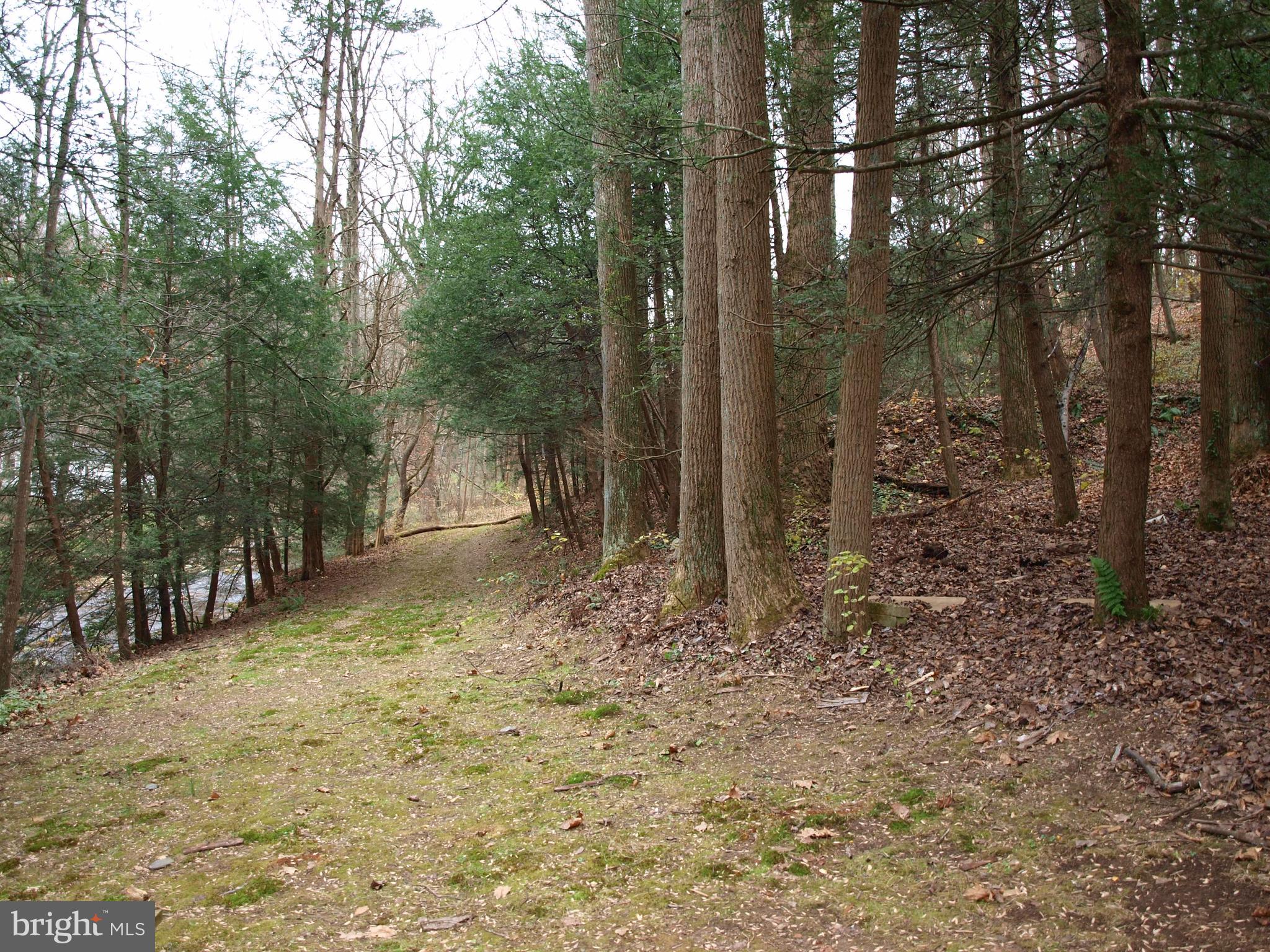 1014 Aubel Road Delta, PA 17314 - Photo 21 of 32 REAR YARD