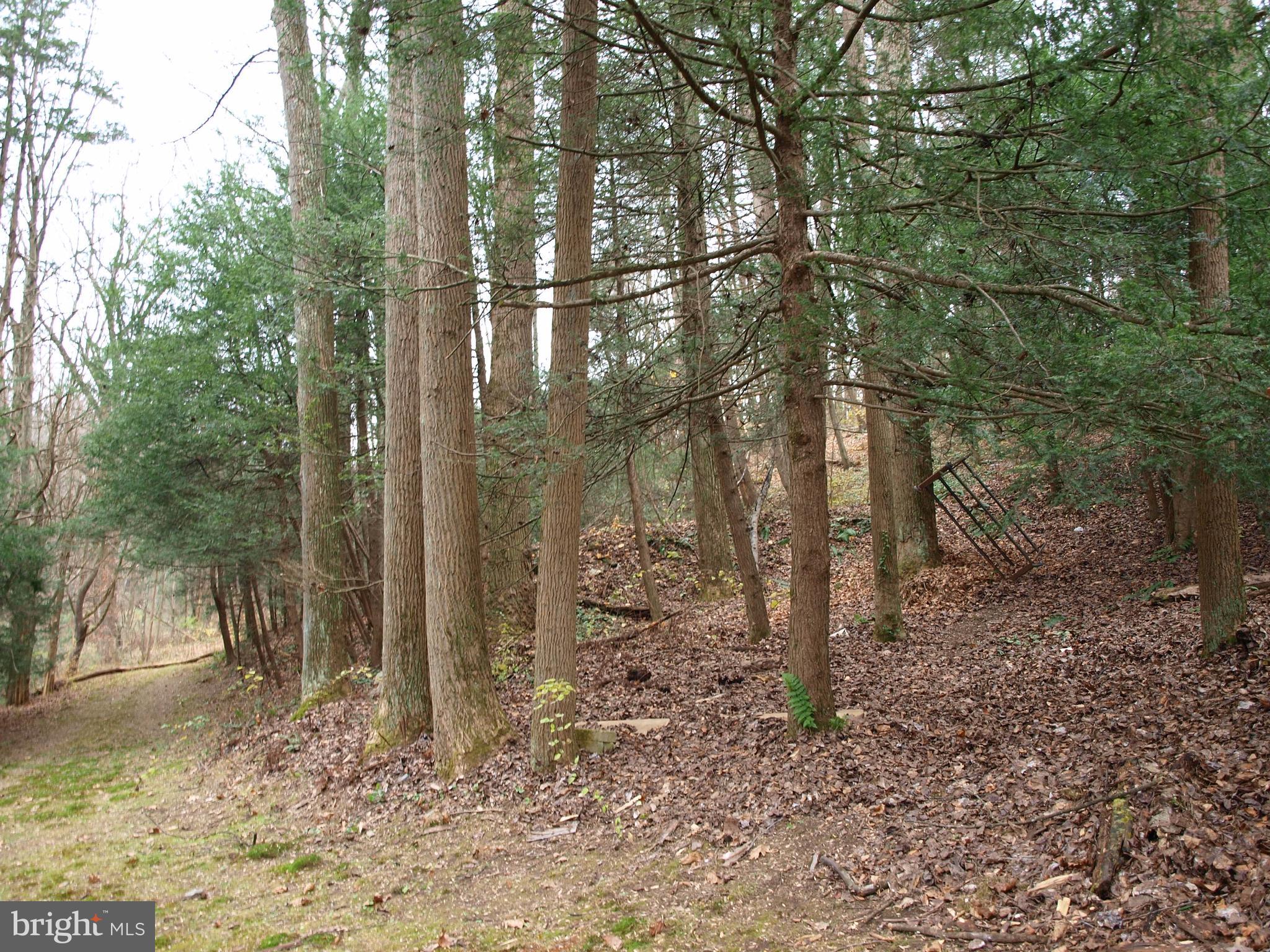 1014 Aubel Road Delta, PA 17314 - Photo 23 of 32 Gallery Image 23