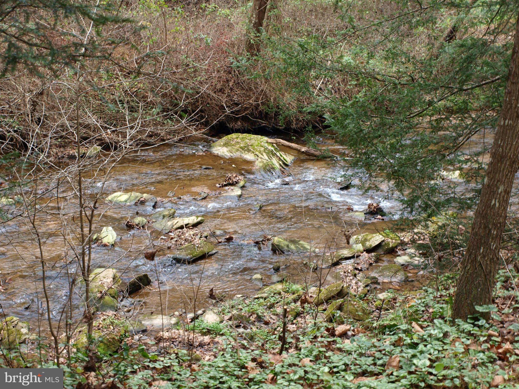 1014 Aubel Road Delta, PA 17314 - Photo 24 of 32 REAR YARD OVERLOOKING THE CREEK !!