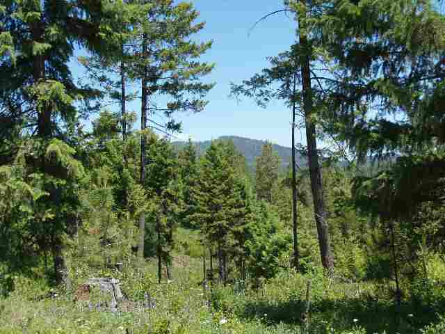 0 Rose Hill Road Springdale, WA 99173 - Photo 7 of 7