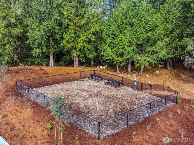 a view of a backyard with trees