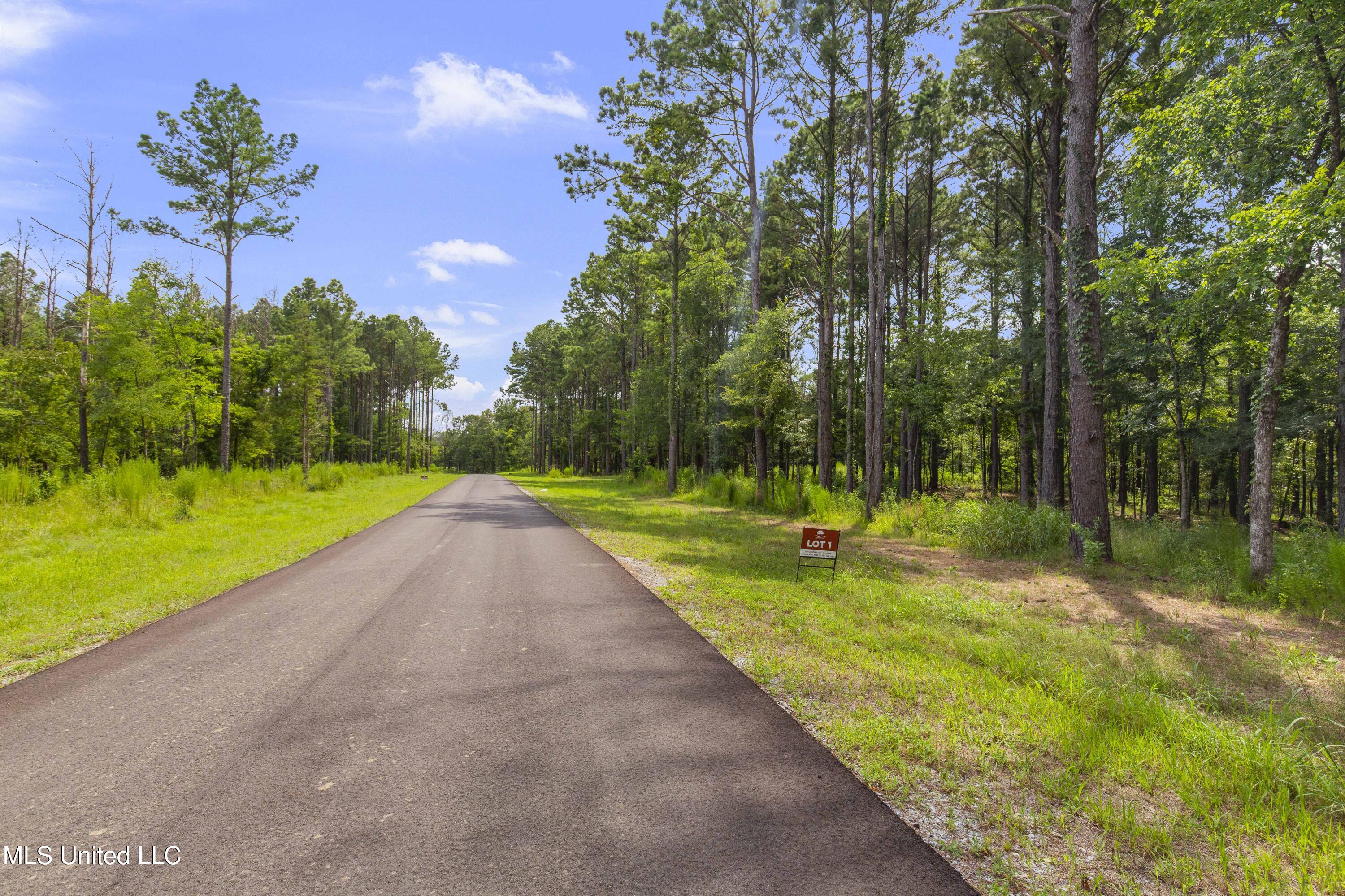 Springwood Trail Madison, MS 39110 - Photo 11 of 36 Springwood-July2025-11