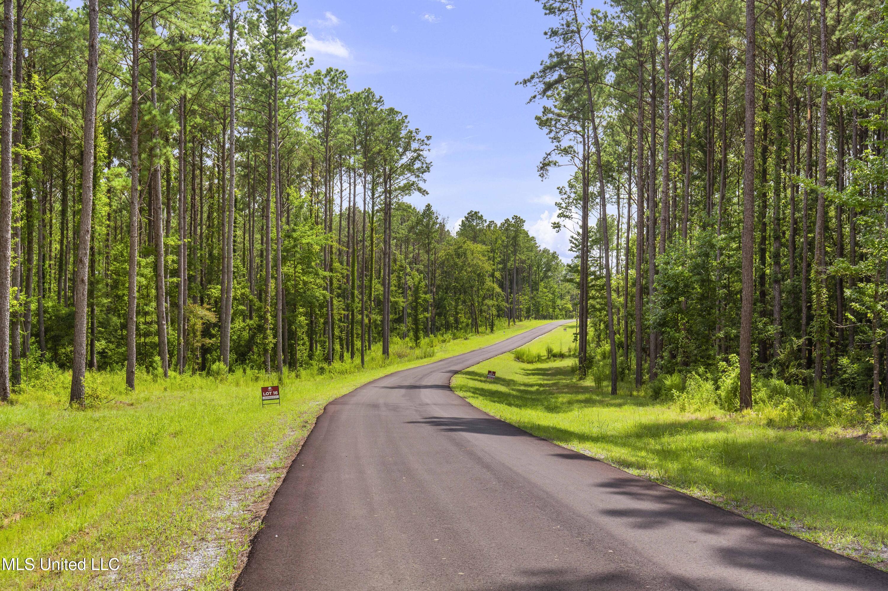 Springwood Trail Madison, MS 39110 - Photo 13 of 36 Springwood-July2025-17