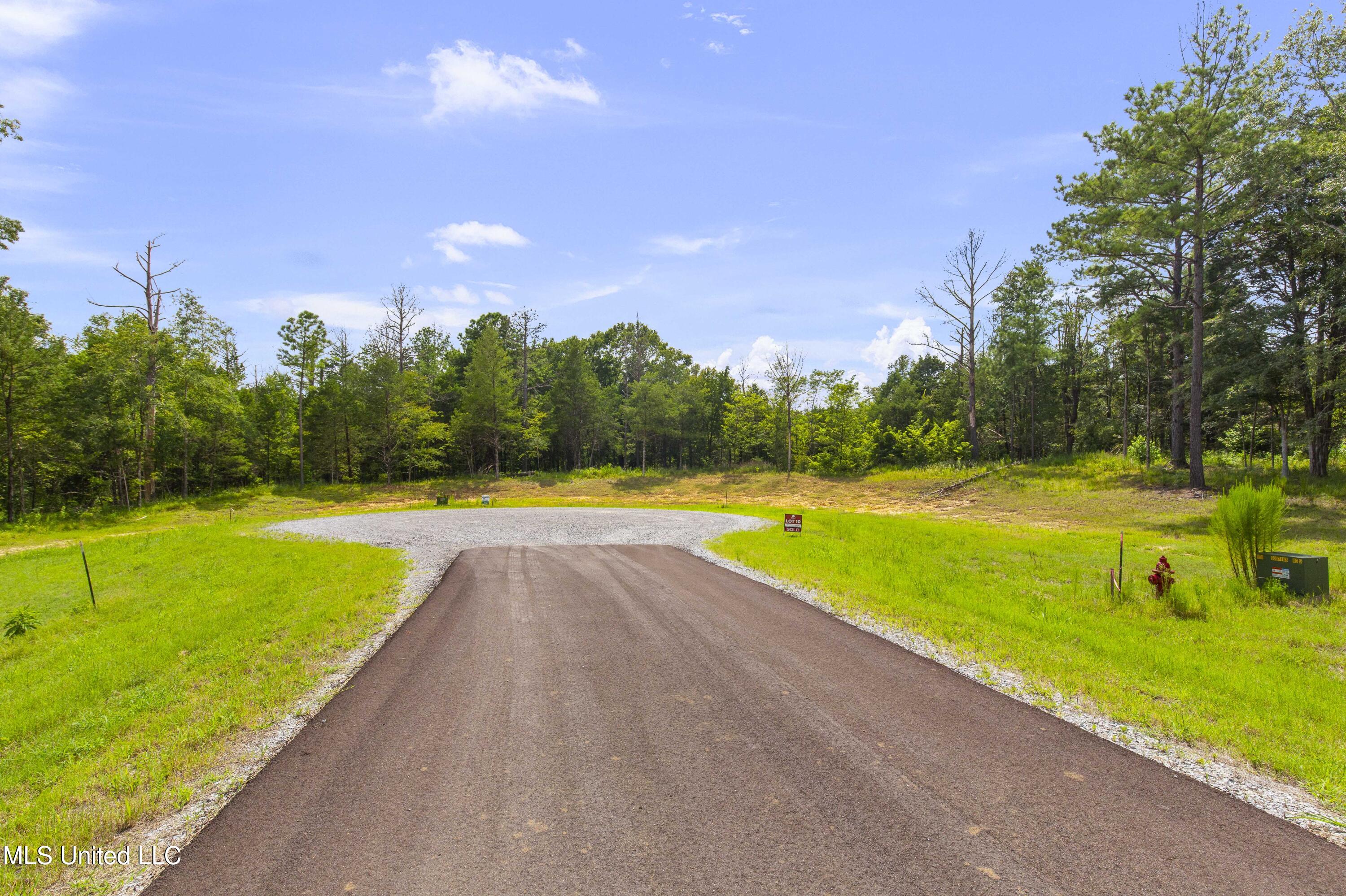 Springwood Trail Madison, MS 39110 - Photo 14 of 36 Springwood-July2025-18