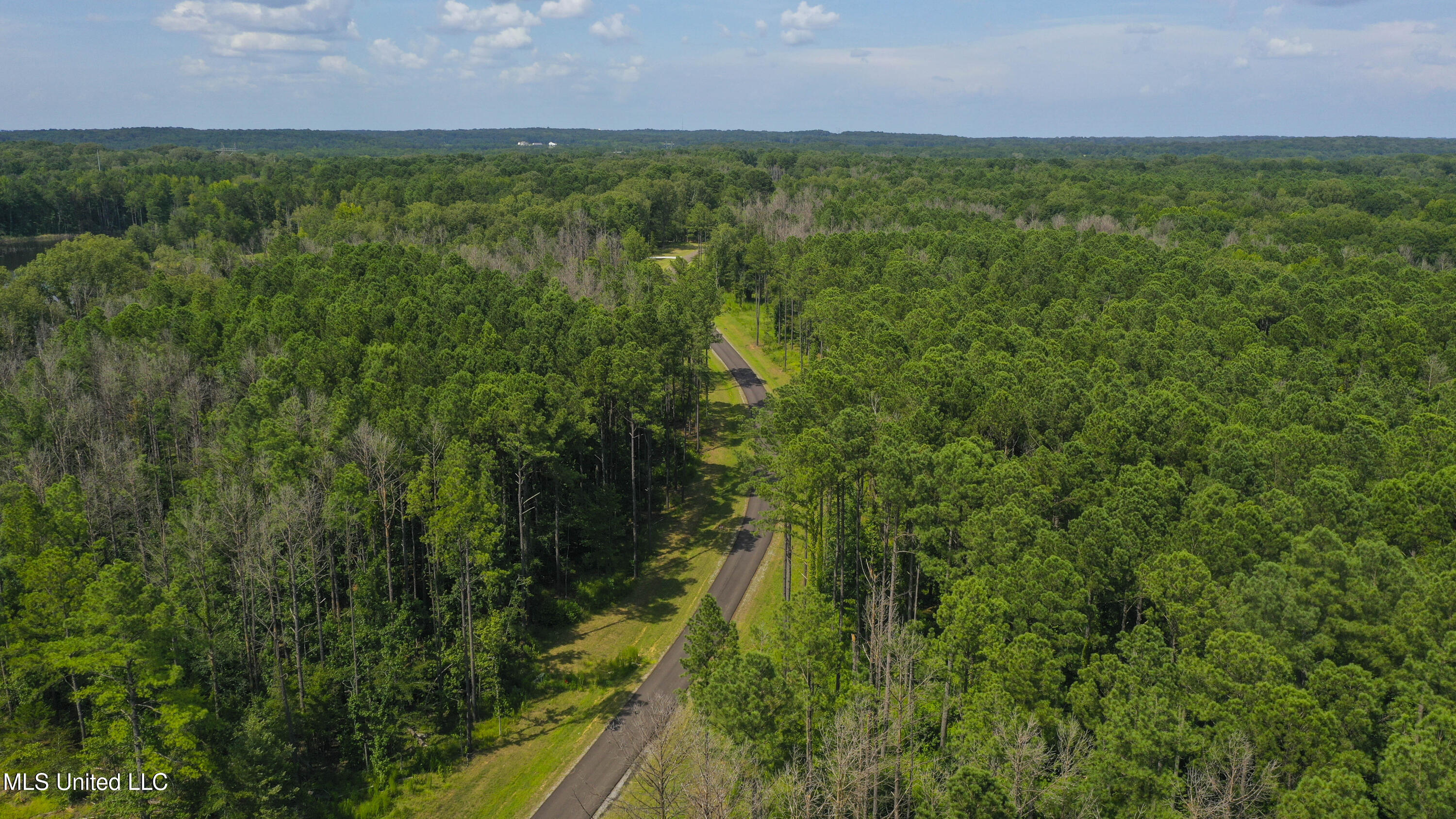 Springwood Trail Madison, MS 39110 - Photo 20 of 36 Springwood-July2025-25