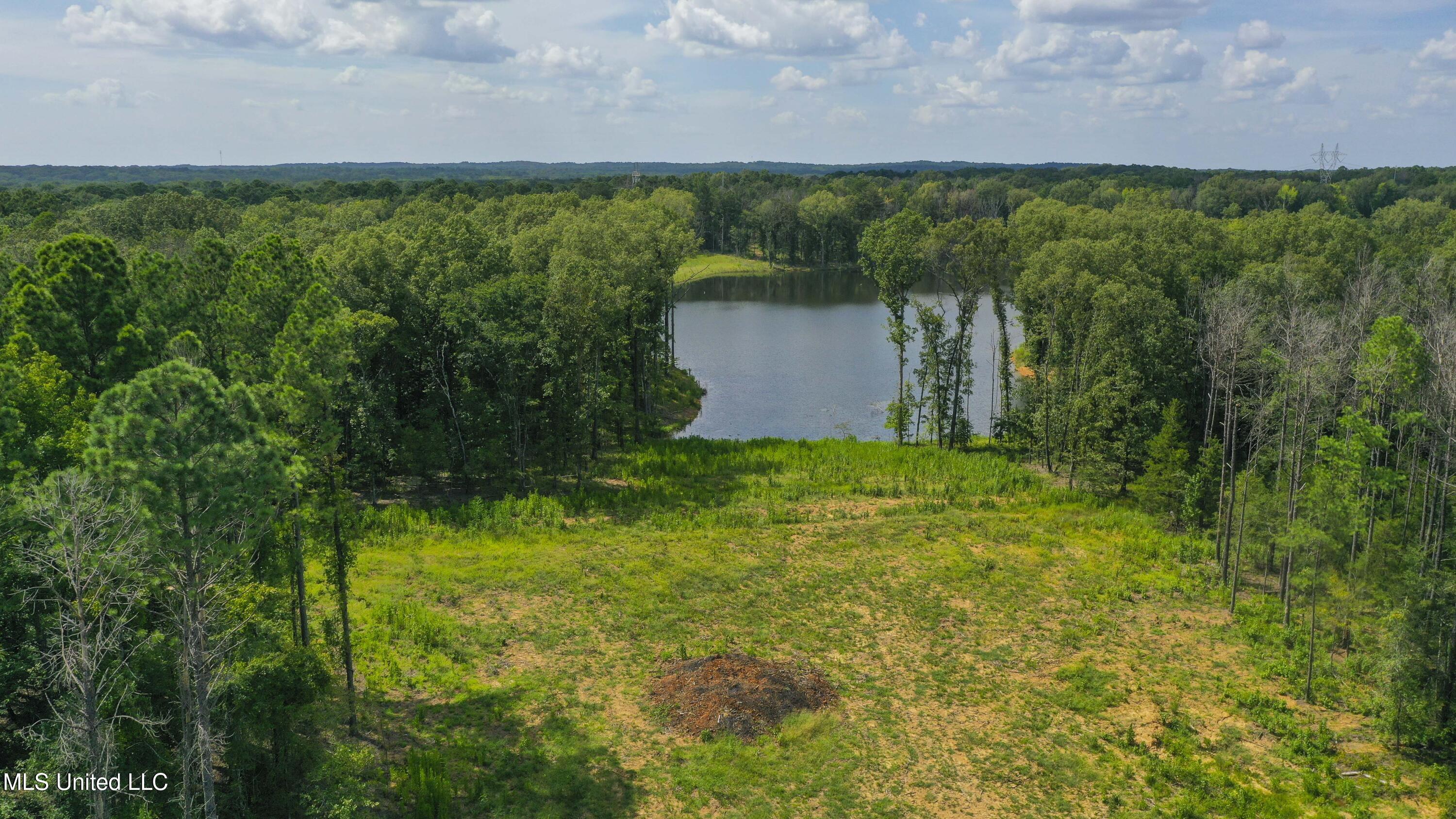 Springwood Trail Madison, MS 39110 - Photo 21 of 36 Springwood-July2025-26