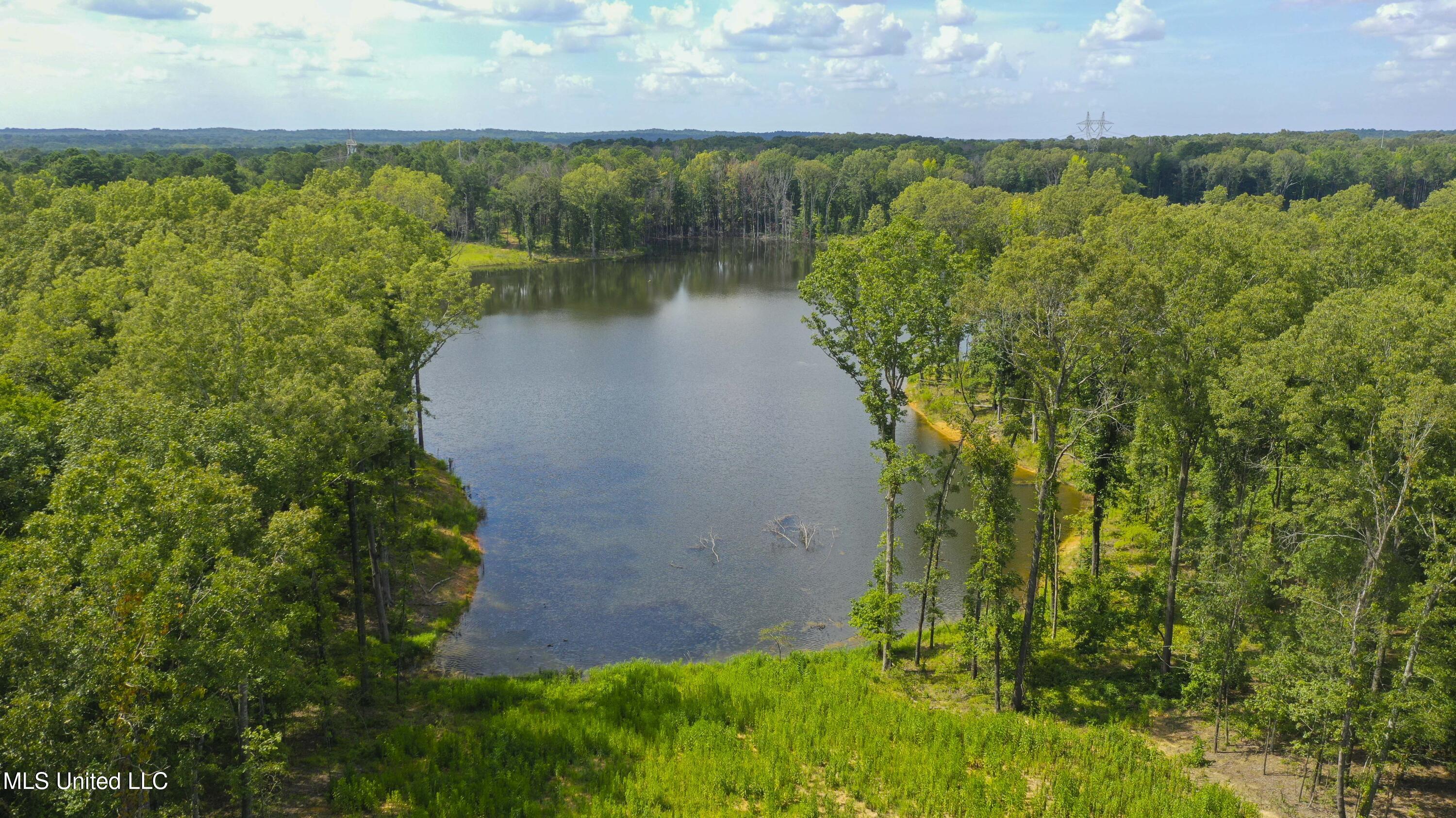 Springwood Trail Madison, MS 39110 - Photo 22 of 36 Springwood-July2025-27