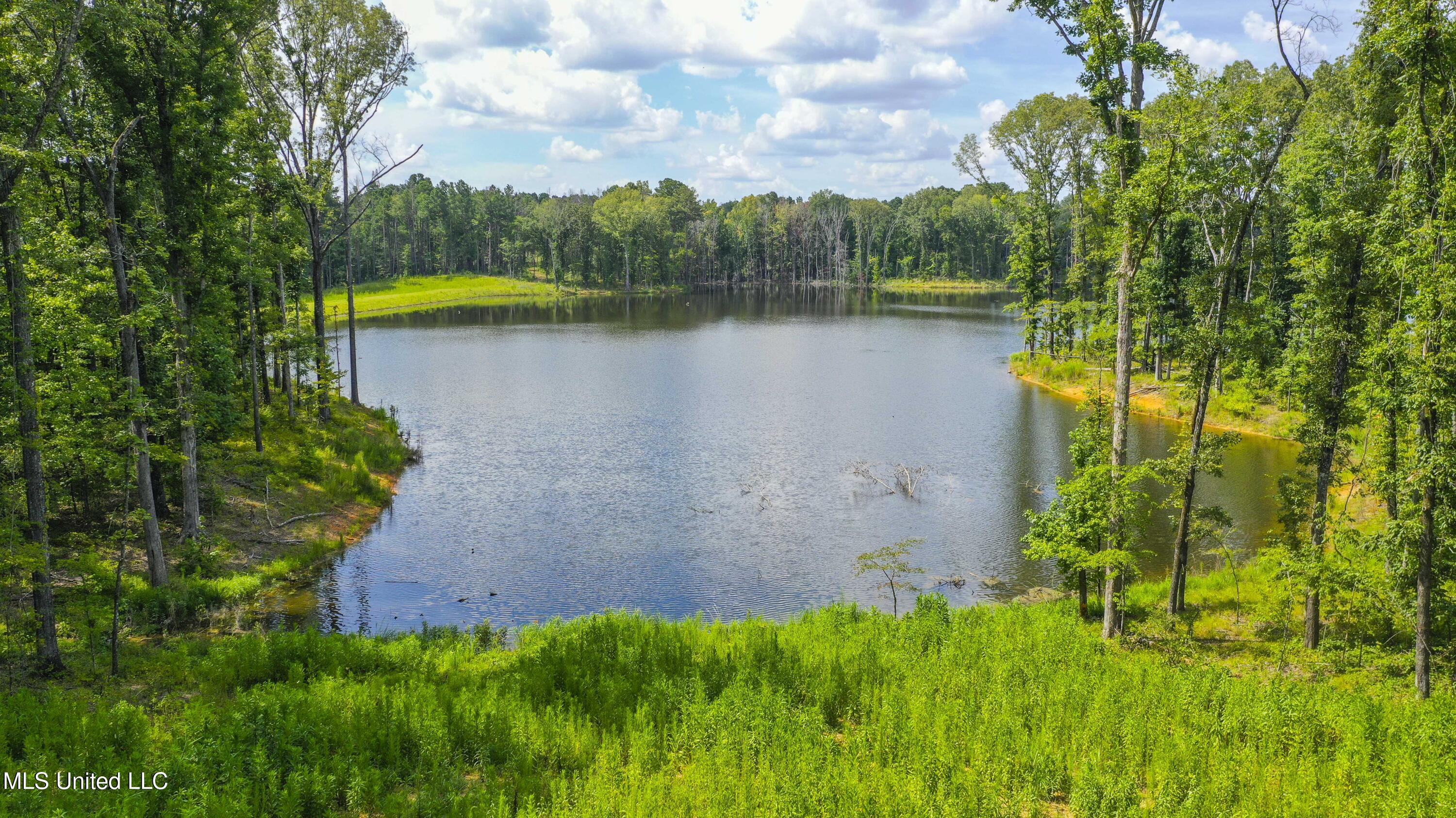 Springwood Trail Madison, MS 39110 - Photo 23 of 36 Springwood-July2025-28