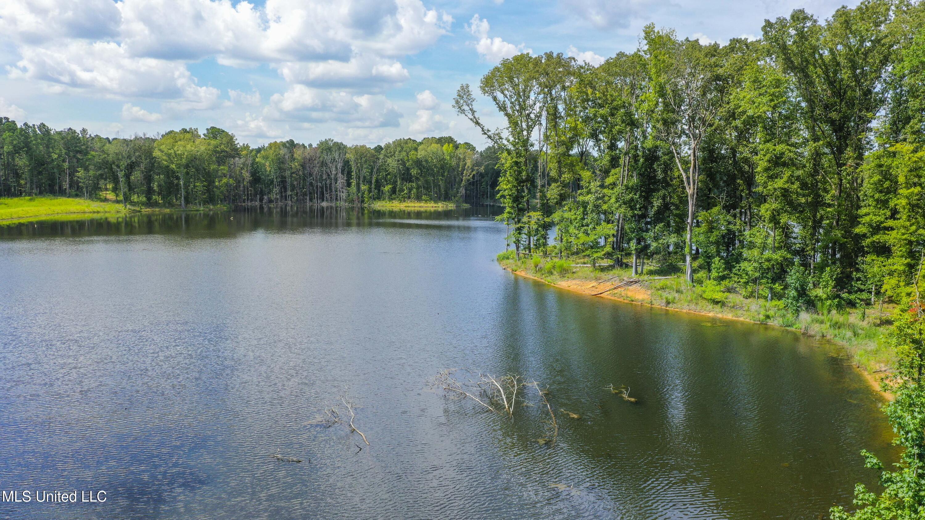 Springwood Trail Madison, MS 39110 - Photo 24 of 36 Springwood-July2025-29