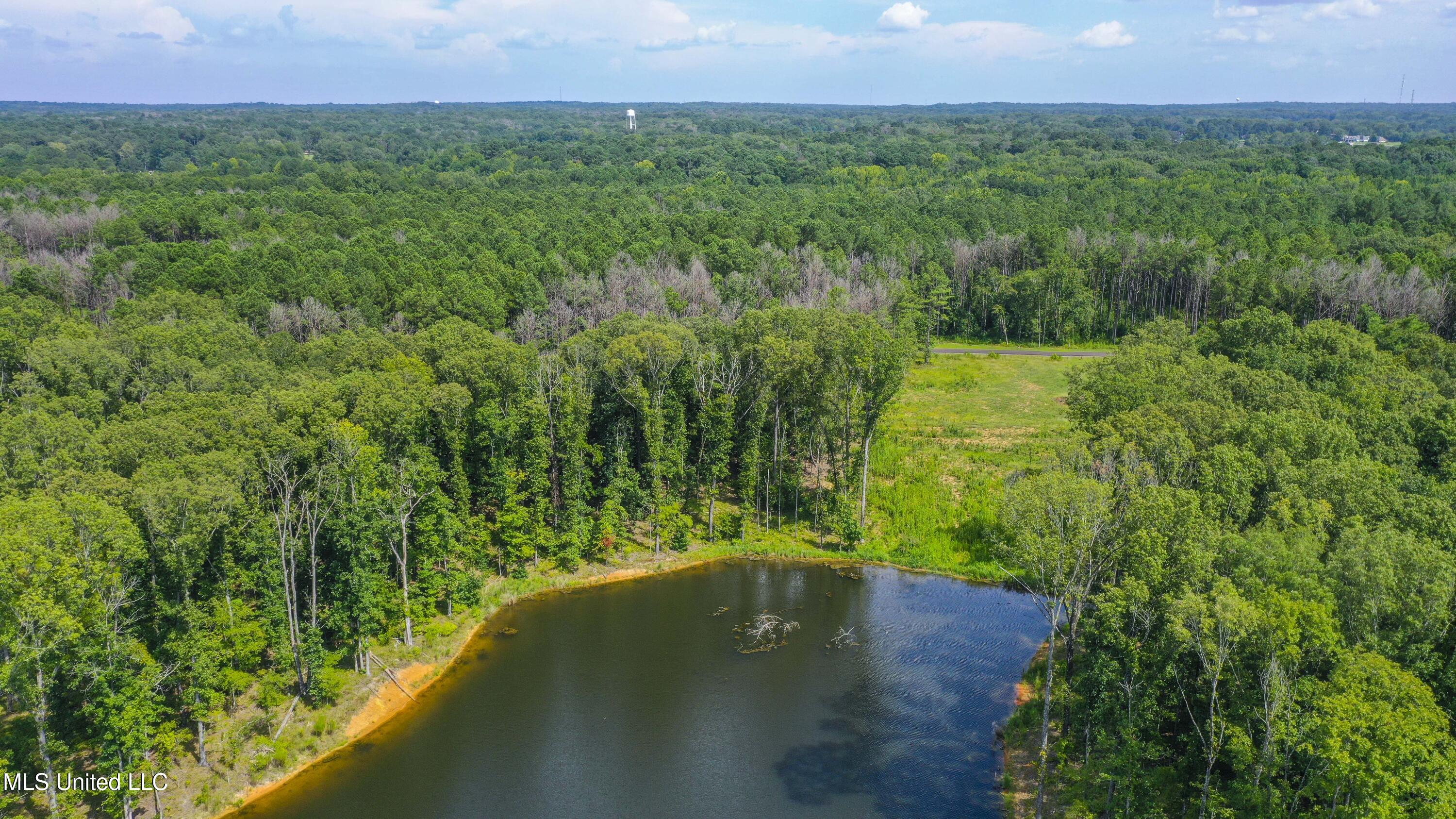 Springwood Trail Madison, MS 39110 - Photo 25 of 36 Springwood-July2025-30