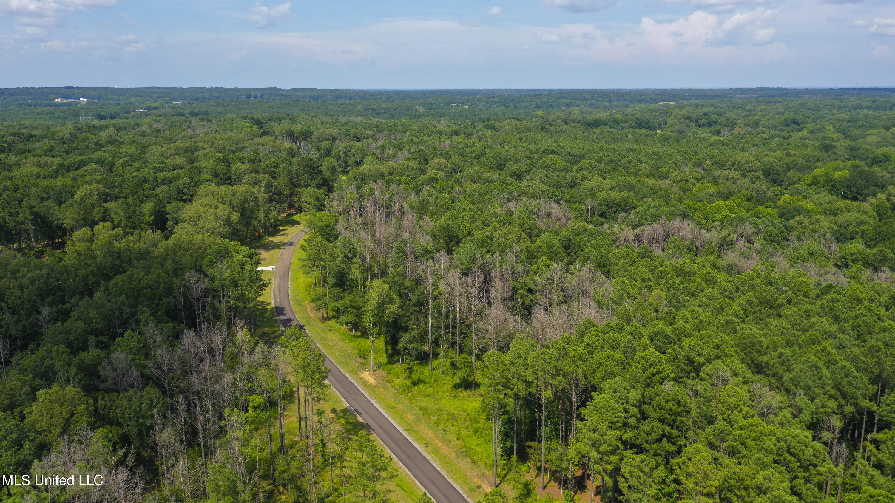 Springwood Trail Madison, MS 39110 - Photo 29 of 36 Springwood-July2025-34