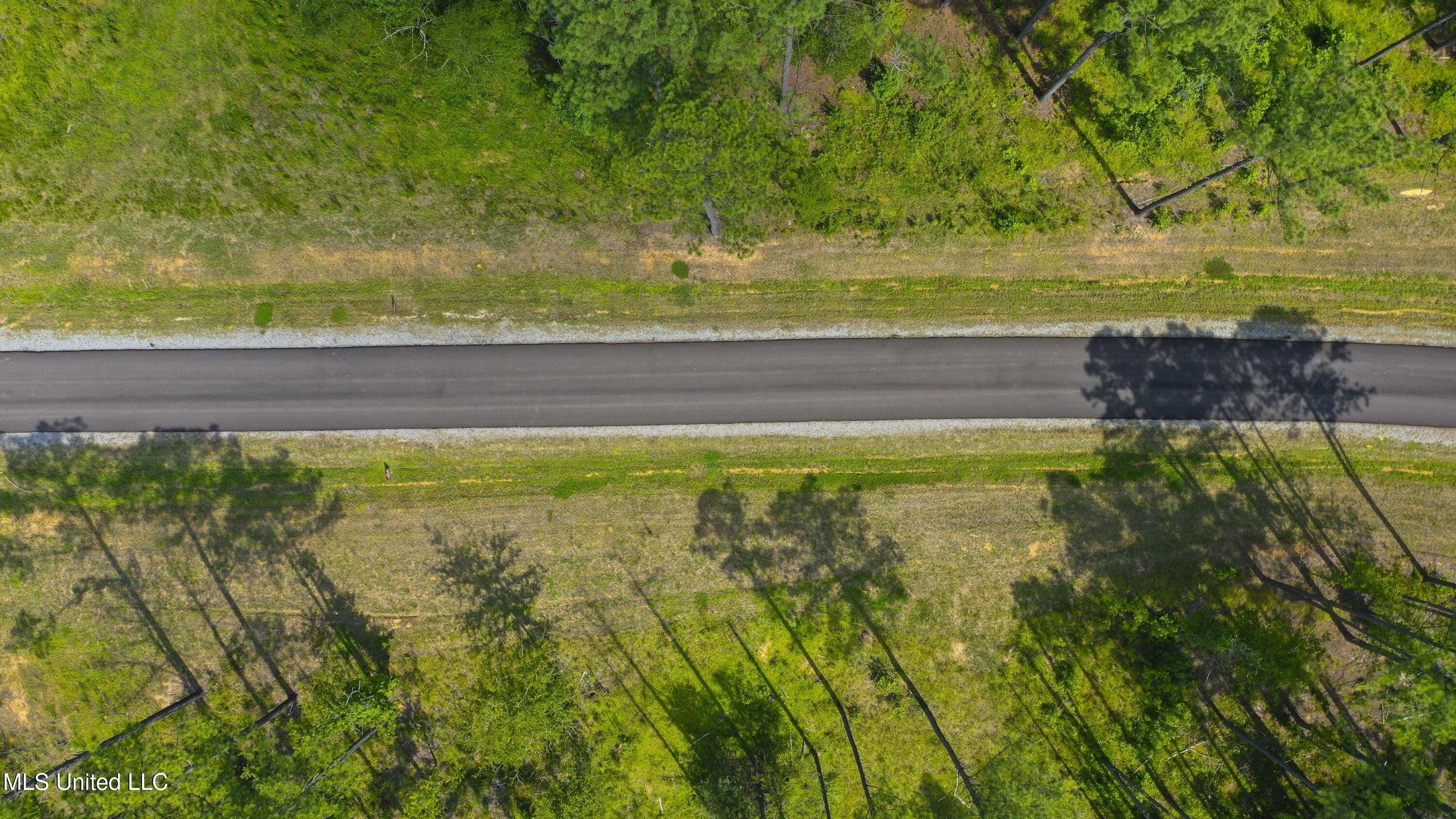 Springwood Trail Madison, MS 39110 - Photo 30 of 36 Springwood-July2025-35