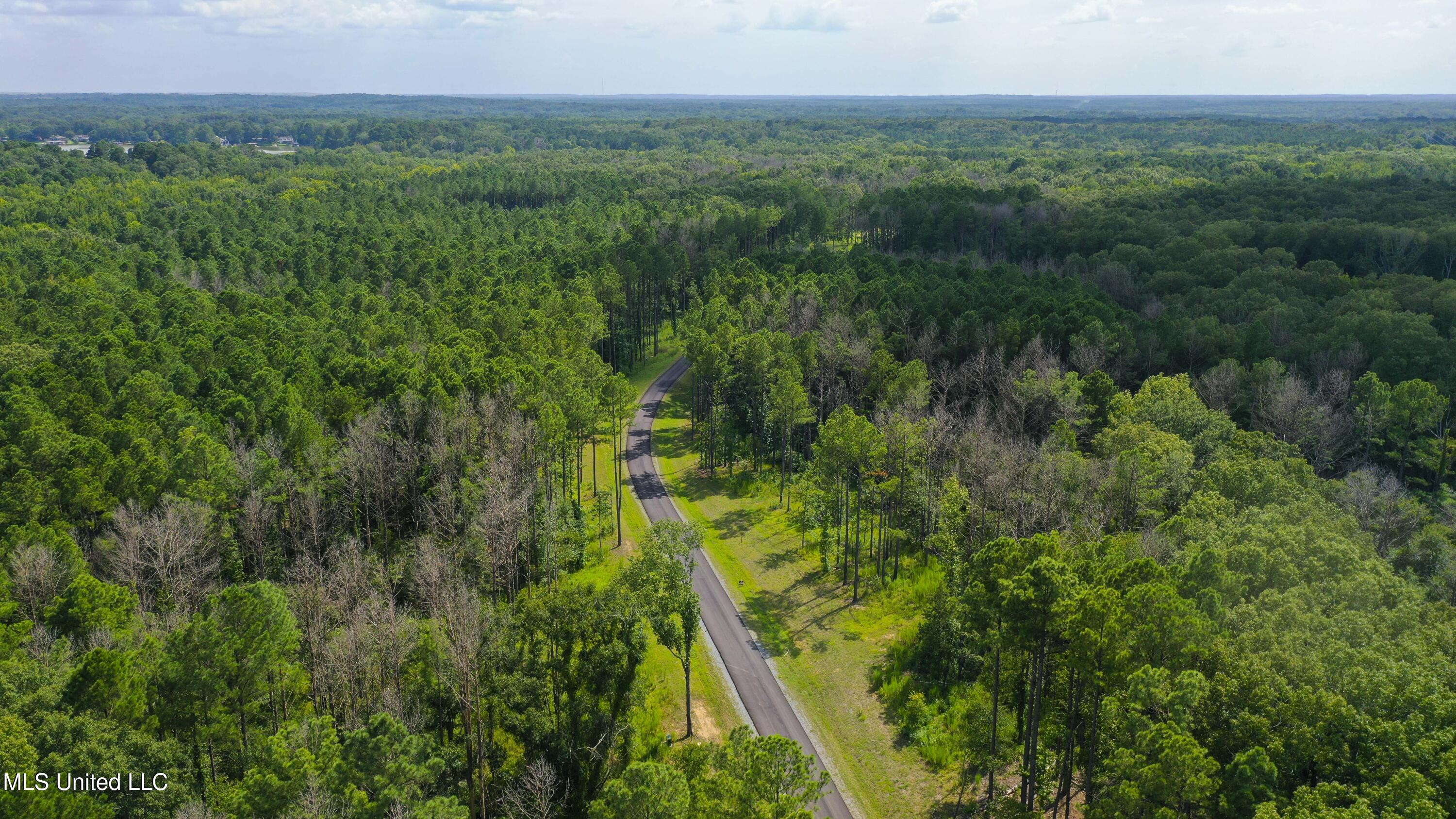 Springwood Trail Madison, MS 39110 - Photo 33 of 36 Springwood-July2025-38