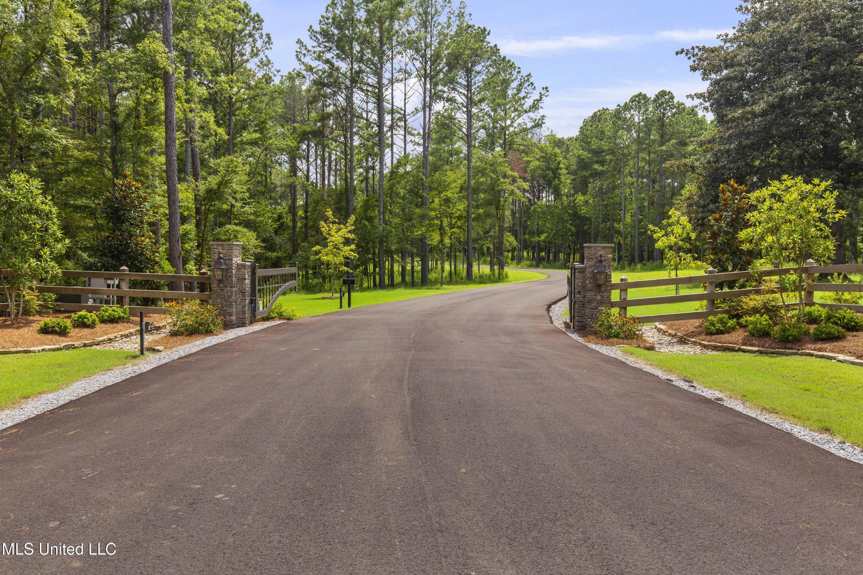 Springwood Trail Madison, MS 39110 - Photo 6 of 36 Springwood-July2025-3
