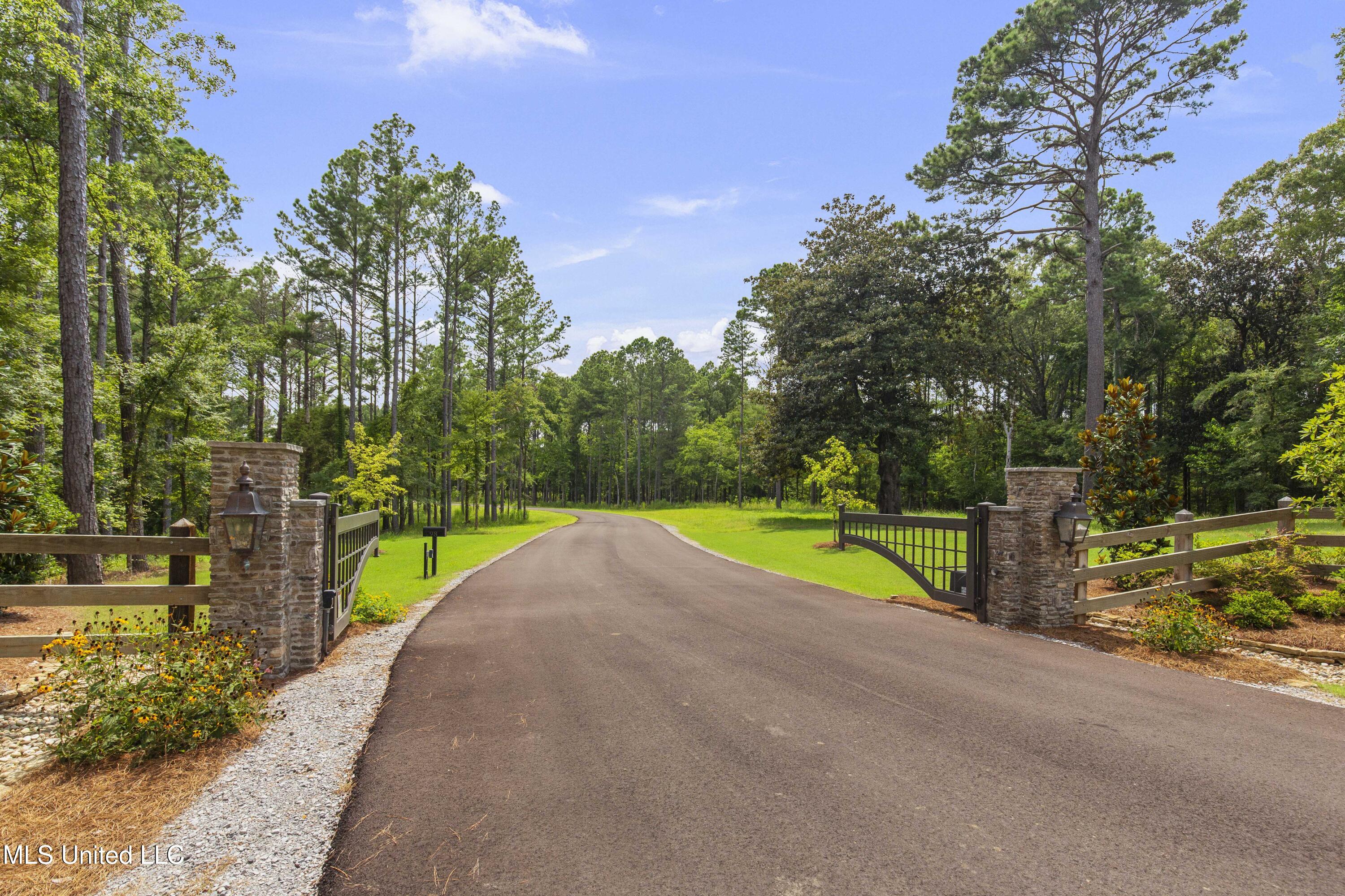 Springwood Trail Madison, MS 39110 - Photo 9 of 36 Springwood-July2025-6