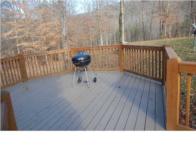 322 Lakeview Drive Rising Fawn, GA 30738 - Photo 4 of 12 Additional Photo