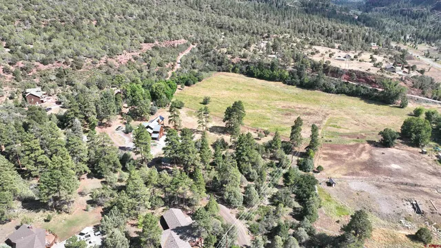 a view of a yard with a tree