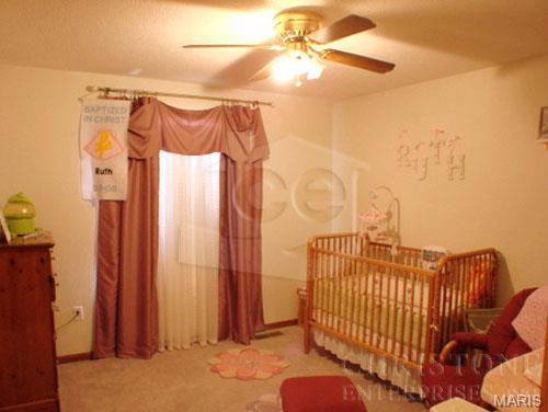 107 Harbor Point Belleville, IL 62221 - Photo 11 of 32 Gallery Image 11