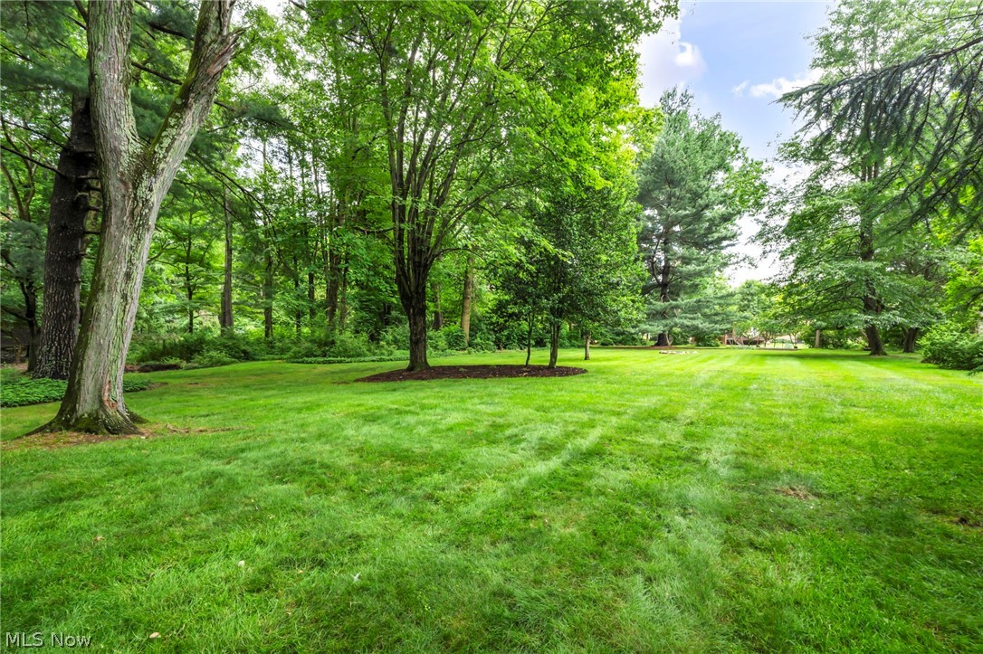 10906 Fitzwater Road Brecksville, OH 44141 - Photo 40 of 45