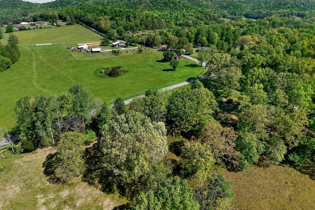 515 Jericho Road Quebeck, TN 38579 - Photo 38 of 60