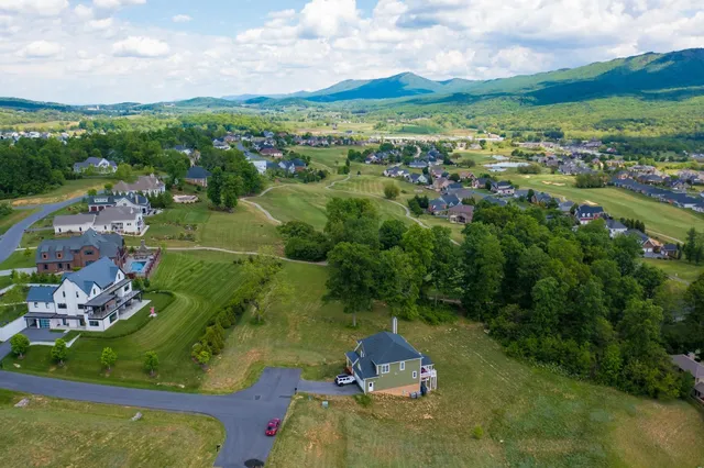 an aerial view of residential houses with outdoor space and trees