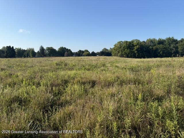 12260 South Wacousta Road Eagle, MI 48822 - Photo 2 of 9 IMG_7374(1)