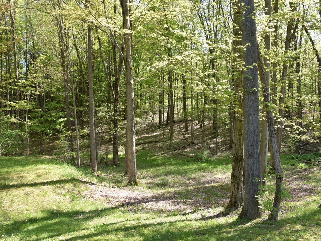12186 McCarthy Road Meadville, PA 16335 - Photo 8 of 25 Gallery Image 8