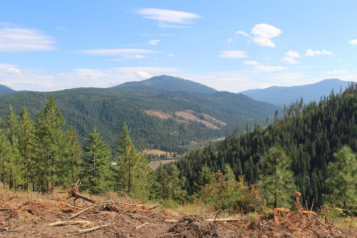 Xxx Aladdin Road Colville, WA 99114 - Photo 1 of 14 Gallery Image 1