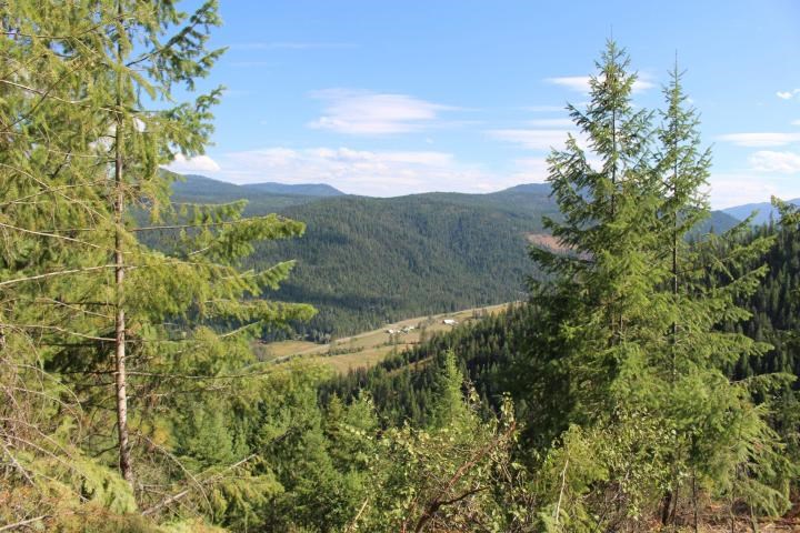 Xxx Aladdin Road Colville, WA 99114 - Photo 2 of 14 Gallery Image 2