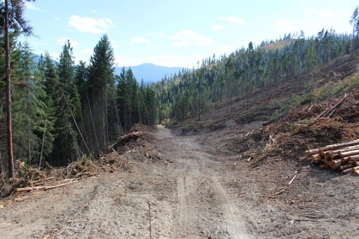 Xxx Aladdin Road Colville, WA 99114 - Photo 11 of 14 Gallery Image 11