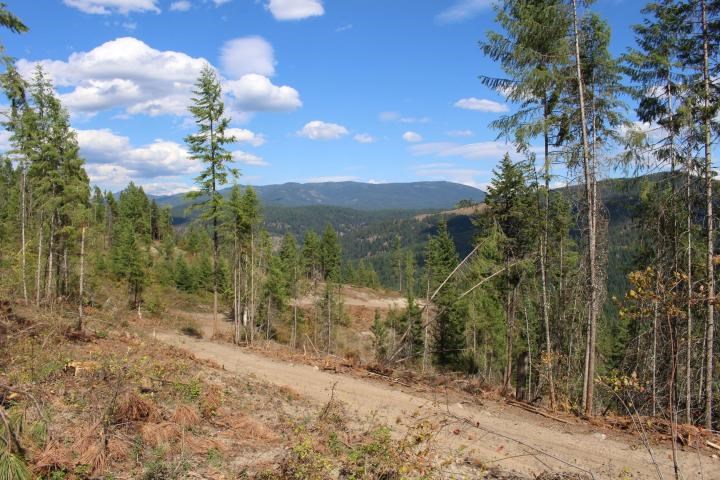 Xxx Aladdin Road Colville, WA 99114 - Photo 14 of 14 Gallery Image 14