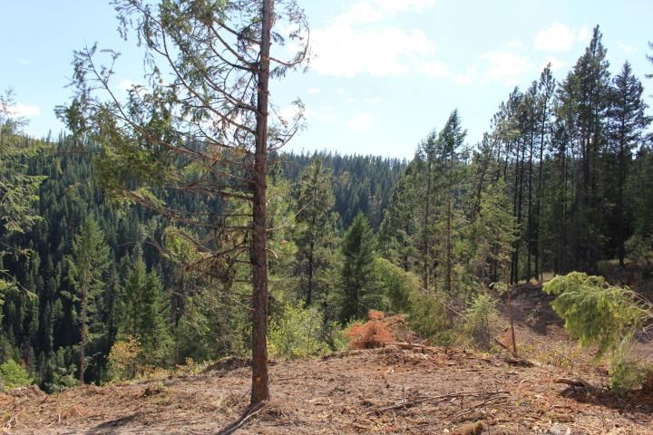 Xxx Aladdin Road Colville, WA 99114 - Photo 3 of 14 Gallery Image 3