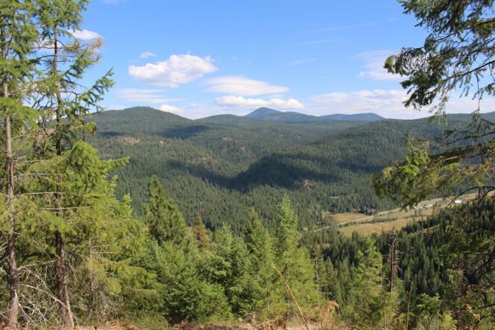 Xxx Aladdin Road Colville, WA 99114 - Photo 4 of 14 Gallery Image 4