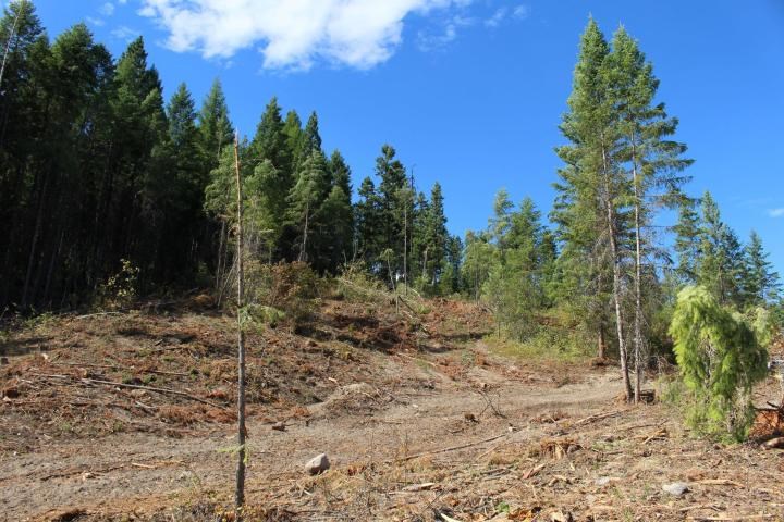 Xxx Aladdin Road Colville, WA 99114 - Photo 5 of 14 Gallery Image 5