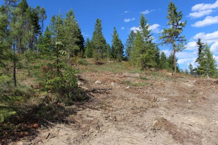 Xxx Aladdin Road Colville, WA 99114 - Photo 6 of 14 Gallery Image 6