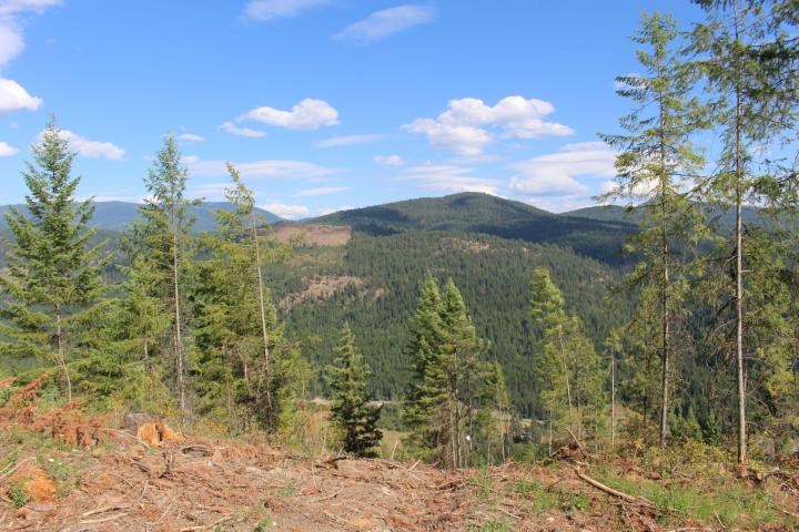 Xxx Aladdin Road Colville, WA 99114 - Photo 7 of 14 Gallery Image 7