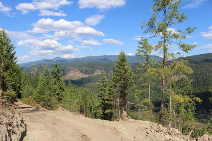 Xxx Aladdin Road Colville, WA 99114 - Photo 8 of 14 Gallery Image 8