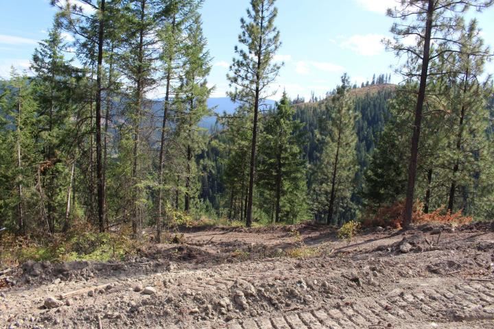 Xxx Aladdin Road Colville, WA 99114 - Photo 9 of 14 Gallery Image 9