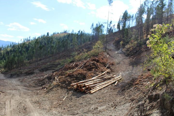 Xxx Aladdin Road Colville, WA 99114 - Photo 10 of 14 Gallery Image 10