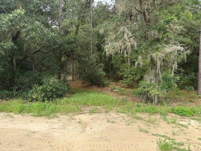 17889 Southwest 61st Ln Road Dunnellon, FL 34432 - Photo 12 of 19 Gallery Image 12