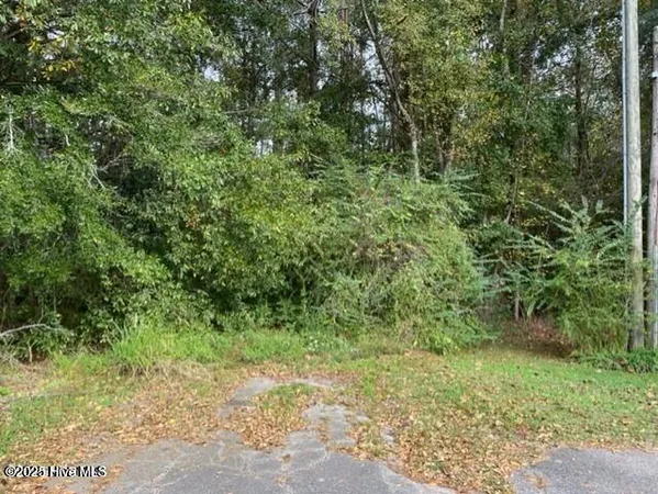 $35,000 | 0 Near 715 E 1st Avenue, Chadbourn, NC 28431